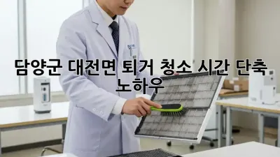 담양군 대전면 퇴거 청소, 시간 단축 노하우!